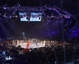 PZB Suzuki Boxing Night 34