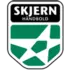 Skjern Handbold 